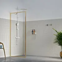 Sealskin Inloopdouche Contour 88x200cm - Goud Profiel - 6 Mm Helder Glas