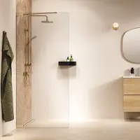 Sealskin Inloopdouche pure type a3 100x200 cm helder glas antikalk geborsteld goud
