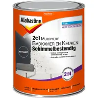 Alabastine 2 In1 Muurverf Badkamer En Keuken Antraciet 1 L