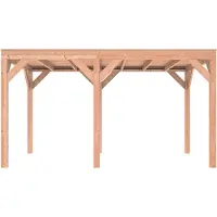 Outdoor Life Products Douglas Overkapping 450x250
