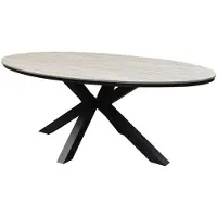 AVH-Collectie Salvador dining tuintafel ovaal 220x115xH75 cm polywood