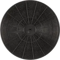 Hotpoint -Ariston Koolstoffilter C00307668 / C00384660