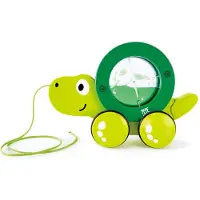 Hape Tito Pull Along Groen Kinderen