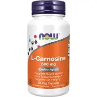 NOW,NOW Foods,NOW,NOW Foods L-Carnosine 500 mg (50 Capsules) - aminozuur - aminozuur