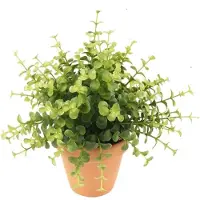 Emerald Kunstplant eucalyptus - groen - in terracotta pot - 20 cm - Kunstplanten