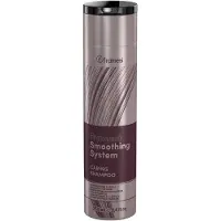 Framesi Smoothing System Caring Shampoo 250ml