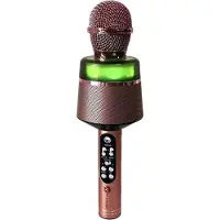 Blaupunkt N-GEAR Star Mic - Bluetooth Karaoke Microfoon voor Kinderen - met Speaker & Verlichting - Draadloos - Rose Gold