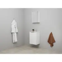 Bewonen Luuk Badmeubel Met 1 Deur - 45x36cm - Keramiek Wastafel - 1 Kraangat - Hoogglans Wit - Met Spiegelkast - 8718835187408 - Wastafels, Fonteinen,