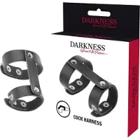 Darkness Darkende toepasselijke leerpenis en testicles ring 1 St