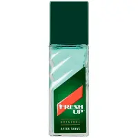 Fresh Up Original roller