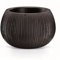 Prosperplast Beton Decoration Bowl 19.5x29x29 Cm Zwart