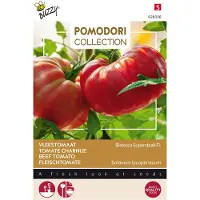 Buzzy 3 stuks Pomodori bistecca f1Buzzy