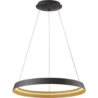Steinhauer Hanglamp Ringlux Zwart Ø60 4000 Lumen
