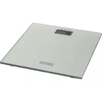 Pricenet Royalty Line RL-PS3: Digitale LED-weegschaal, zilverkleurig