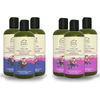 Petal Fresh - Color Protection Pomegranate & Açai 3x Shampoo + 3x Conditioner - 475ml - 6 Pak - Voordeelverpakking