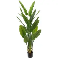 PrettyPlants Strelitzia Kunstplant 2 180cm