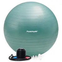 None Anti Burst Fitness bal met Pomp - Yoga bal 65 cm - Pilates bal - Zwangerschapsbal – 220 kg gebruikersgewicht - Incl Trainingsapp – Petrol