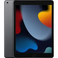Apple Ipad (9e Generatie) - 256 Gb - Wifi - Space Gray | Nieuw (outlet) | Als nieuw