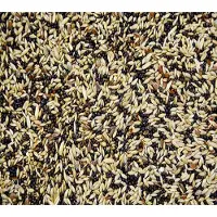 Vogro kanarie zangzaad - kanarievoer - kanariezaad 2.5 kg.