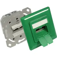 GOOD CONNECTIONS Premium CAT6 Gigabit netwerk inbouw wandcontactdoos met afdekplaat en 2 RJ45 poorten - afgeschermd / groen