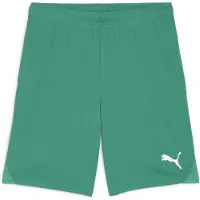 Puma teamGOAL Voetbalbroekje Groen Wit