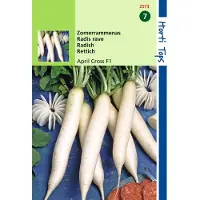 Hortitops 2 stuks Ramenas April Cross F1