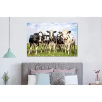 MuchoWow Wanddecoratie Metaal - Aluminium Schilderij Industrieel - Koeien - Weiland - Dieren - Natuur - Gras - 150x100 cm - Dibond - Foto op aluminium - Industriële muurdecoratie - Voor de woonkamer/slaapkamer