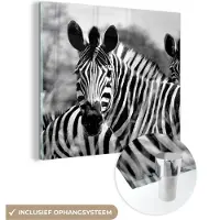 MuchoWow Glasschilderij 20x20 cm - Schilderij acrylglas - Zebra - Zwart - Wit - Dieren - Foto op glas - Schilderijen