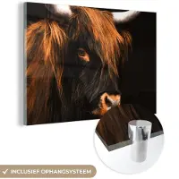 MuchoWow Glasschilderij 60x40 cm - Schilderij acrylglas - Schotse hooglander - Zwart - Koe - Hoorn - Dieren - Foto op glas - Muurdecoratie woonkamer - Wanddecoratie slaapkamer - Schilderijen