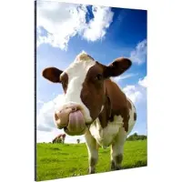 MuchoWow Wanddecoratie Metaal - Aluminium Schilderij Industrieel - Koe - Boerderij - Gras - 20x30 cm - Dibond - Foto op aluminium - Industriële muurdecoratie - Voor de woonkamer/slaapkamer