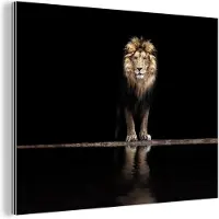 MuchoWow Wanddecoratie Metaal - Aluminium Schilderij Industrieel - Leeuw - Water - Portret - 120x90 cm - Dibond - Foto op aluminium - Industriële muurdecoratie - Voor de woonkamer/slaapkamer