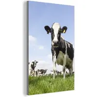 MuchoWow Wanddecoratie Metaal - Aluminium Schilderij Industrieel - Koeien - Gras - Dieren - Zon - Boerderij - 60x90 cm - Dibond - Foto op aluminium - Industriële muurdecoratie - Voor de woonkamer/slaapkamer