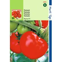 Hortitops 2 stuks Tomaten Pyros F1