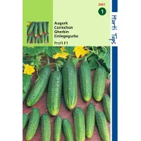 Hortitops - 2 stuks Augurken Profi F1