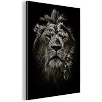 MuchoWow Wanddecoratie Metaal - Aluminium Schilderij Industrieel - Dieren - Zwart - Wit - Portret - 120x160 cm - Dibond - Foto op aluminium - Industriële muurdecoratie - Voor de woonkamer/slaapkamer