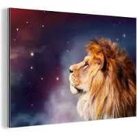 MuchoWow Wanddecoratie Metaal - Aluminium Schilderij Industrieel - Leeuwen - Sterrenhemel - Kleuren - 30x20 cm - Dibond - Foto op aluminium - Industriële muurdecoratie - Voor de woonkamer/slaapkamer
