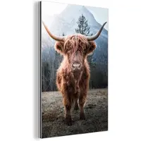 MuchoWow Wanddecoratie Metaal - Aluminium Schilderij Industrieel - Schotse hooglander - Natuur - Bergen - 40x60 cm - Dibond - Foto op aluminium - Industriële muurdecoratie - Voor de woonkamer/slaapkamer