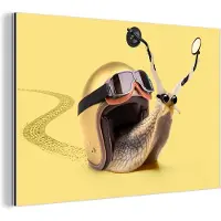MuchoWow Wanddecoratie Metaal - Aluminium Schilderij Industrieel - Slak - Dieren - Helm - Geel - Spiegels - 60x40 cm - Dibond - Foto op aluminium - Industriële muurdecoratie - Voor de woonkamer/slaapkamer
