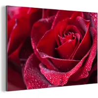 MuchoWow Wanddecoratie Metaal - Aluminium Schilderij Industrieel - Roos - Rood - Druppel - 30x20 cm - Dibond - Foto op aluminium - Industriële muurdecoratie - Voor de woonkamer/slaapkamer