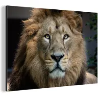 MuchoWow Wanddecoratie Metaal - Aluminium Schilderij Industrieel - Leeuwen - Kleur - Portret - 150x100 cm - Dibond - Foto op aluminium - Industriële muurdecoratie - Voor de woonkamer/slaapkamer