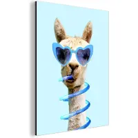 MuchoWow Wanddecoratie Metaal - Aluminium Schilderij Industrieel - Lama - Zonnebril - Blauw - Dier - 30x40 cm - Dibond - Foto op aluminium - Industriële muurdecoratie - Voor de woonkamer/slaapkamer