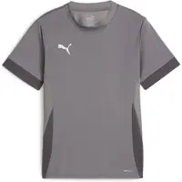 Puma Teamgoal wedstrijdshirt, korte mouwen, voor kinderen - grijs