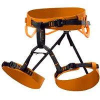 Arc'teryx - Women's AR-385A Harness - Klimgordel XL, bruin