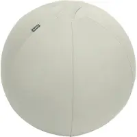 Leitz Active Antislip Zitbal 55 Cm