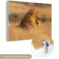 MuchoWow Glasschilderij 120x80 cm - Schilderij acrylglas - Wilde dieren - Gras - Afrika - Foto op glas - Schilderijen