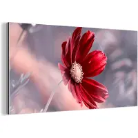 MuchoWow Wanddecoratie Metaal - Aluminium Schilderij Industrieel - Bloemen - Rood - Natuur - Planten - 160x80 cm - Dibond - Foto op aluminium - Industriële muurdecoratie - Voor de woonkamer/slaapkamer