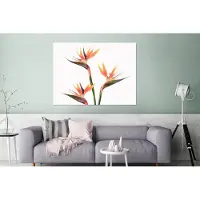 MuchoWow Wanddecoratie Metaal - Aluminium Schilderij Industrieel - Bloemen - Oranje - Natuur - Planten - 120x90 cm - Dibond - Foto op aluminium - Industriële muurdecoratie - Voor de woonkamer/slaapkamer
