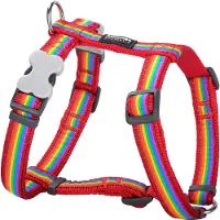 Animal Boulevard Dh-ra-re-25 - Hals- En Leibanden - Hond - Rd Harnas Rainbow Rood-l 25mm - Maat: L - 206069