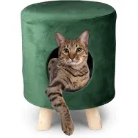 Maxxpro Kattenmand op Pootjes - Poef - 100% Polyester - tot 80kg - Ø 33 cm - Groen
