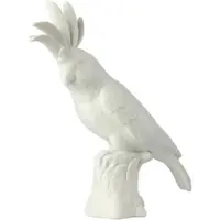 Pols Potten Cockatoo White